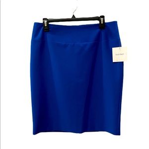 Pencil skirt